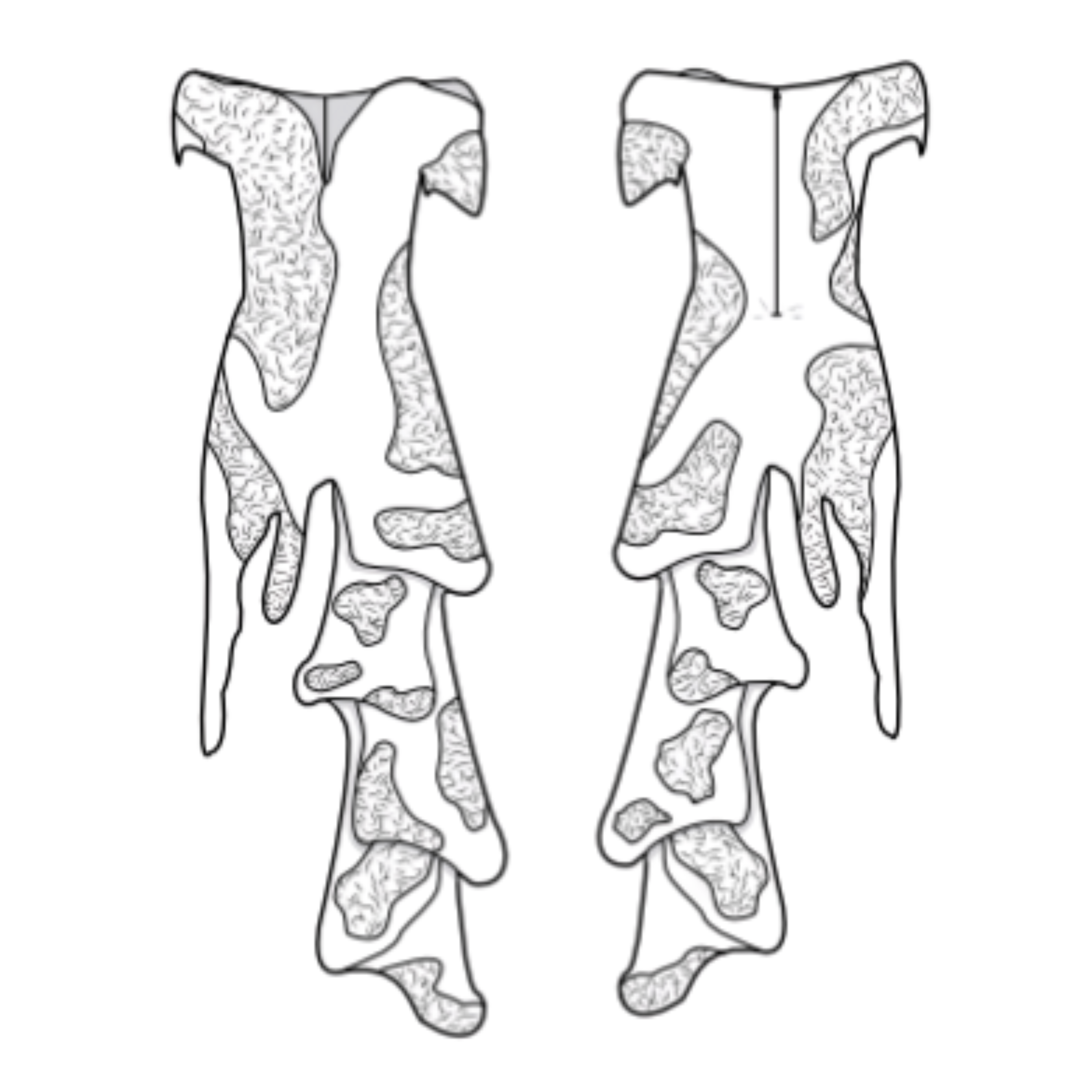 43